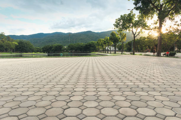 Best Interlocking Driveway Pavers  in Westminster, CA